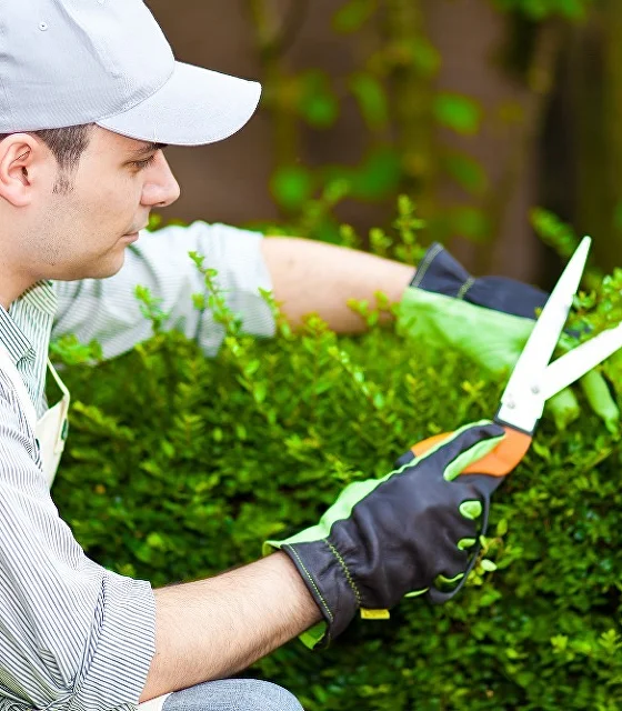 Садовник за работой